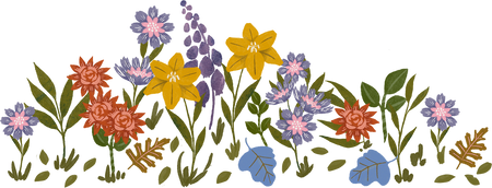 Garden Floral Divider Valentines Modern Organic Watercolor Romantic Floral Embellishments